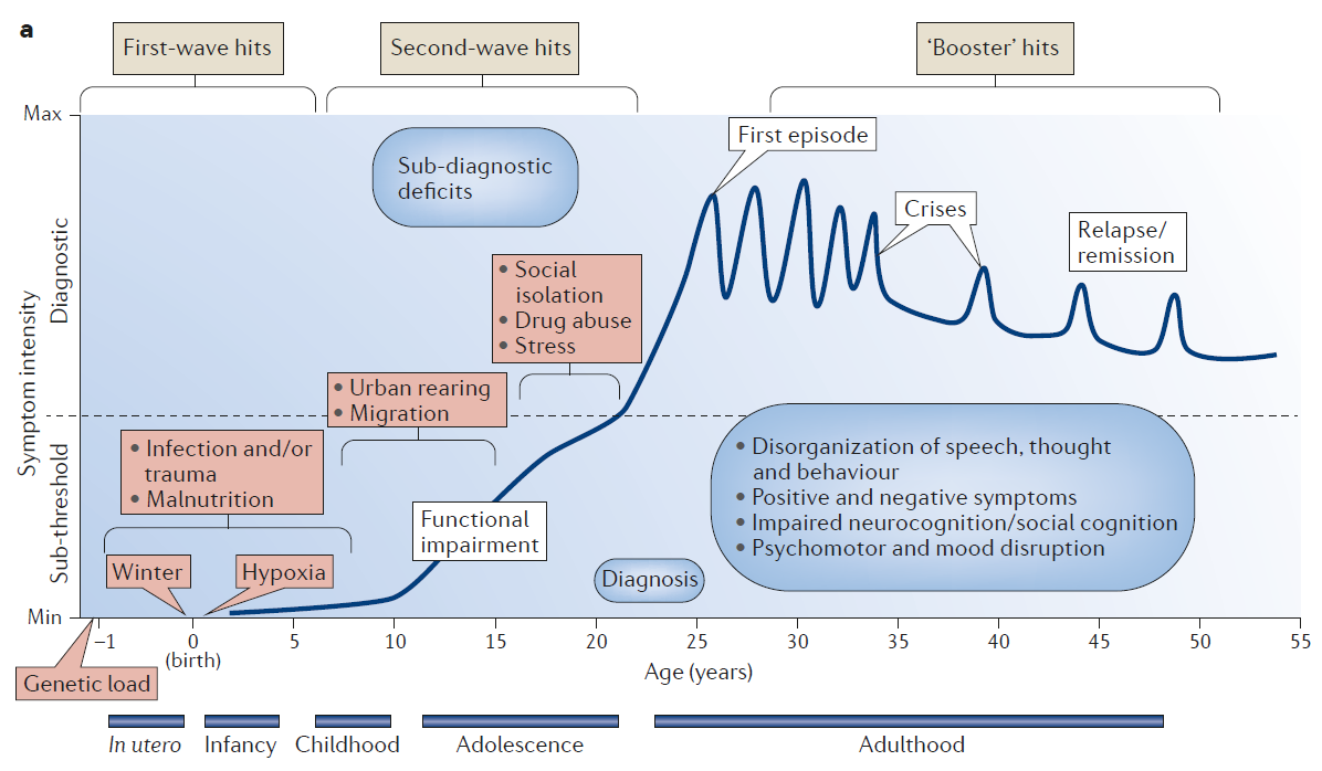 Skript F R Den Systemblock Psyche Schizophrenie Tiologie