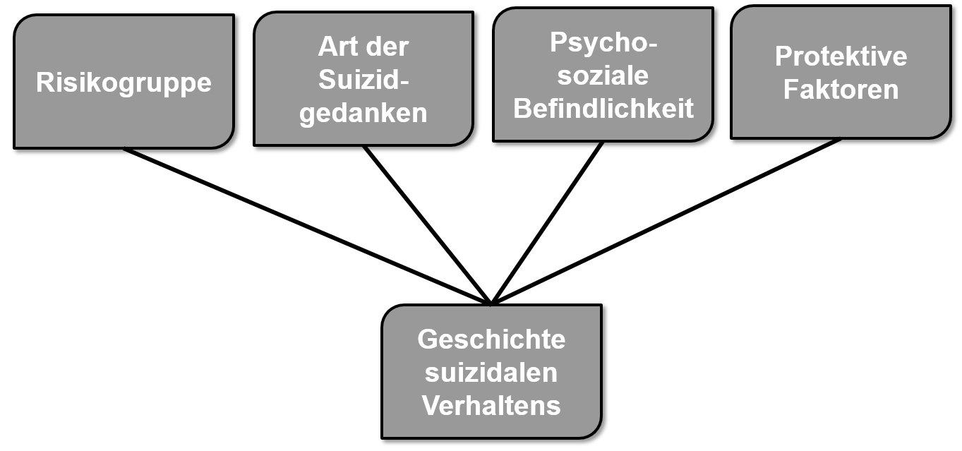 Skript für den Systemblock Psyche 19 Suizidalität Diagnostik